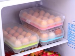 Kotak Telur Plastik Isi 15 Egg Tray | Jual Box Rak Telur - 196