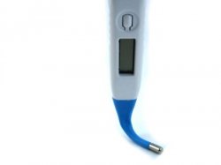 Termometer Lentur Digital Anak Alat Ukur Suhu Tubuh Badan Dewasa - 315