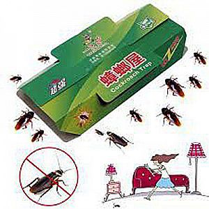 Perangkap Kecoa Serangga Cicak Rumah Kecoa Lem Jebakan Karton Bersih Pest Control  – A39