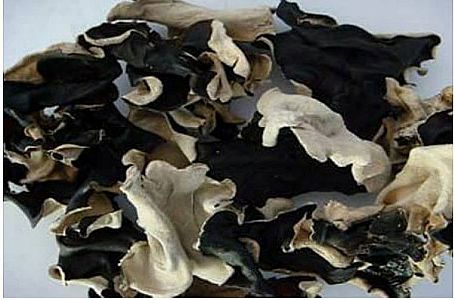 Jamur Kuping Hitam Putih Re Pack 50 gr Packing Kemasan Plastik Premium – A455