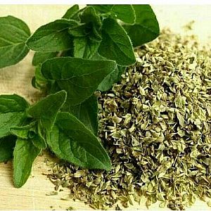 Daun Basil Kering Leaves Pure Dried Packing 20 gr Kemasan Re Pack Siap Pakai Bumbu Masak – A463